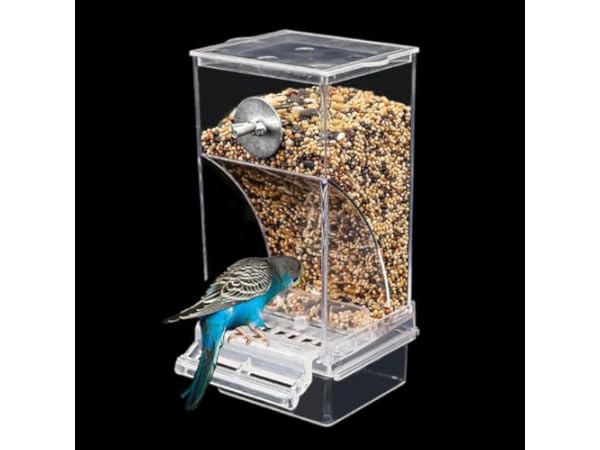 Bird Feeders Thumbnail