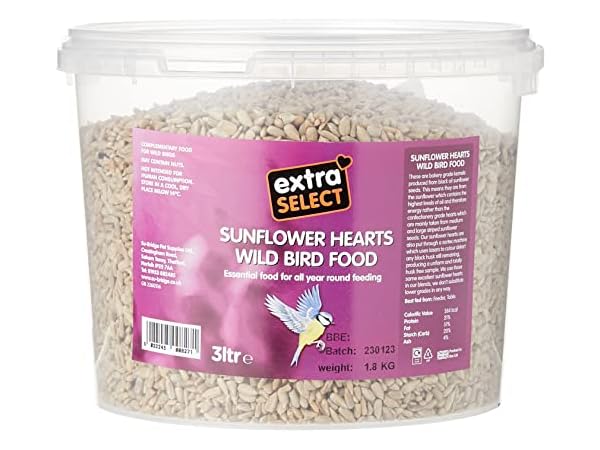 Bird Food Thumbnail