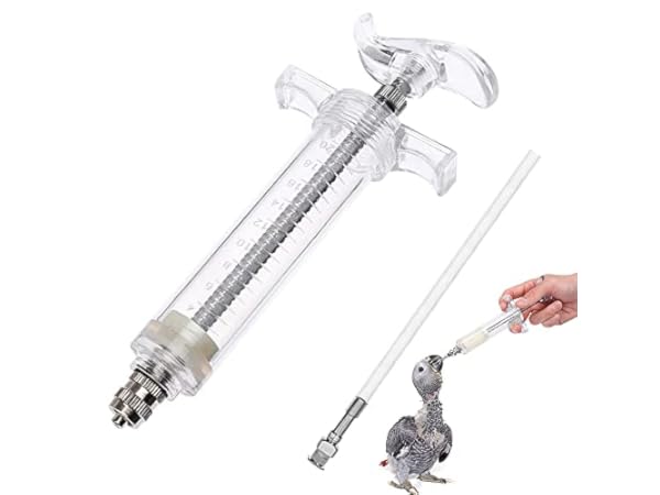 Bird Hand-Feeding Tools Thumbnail