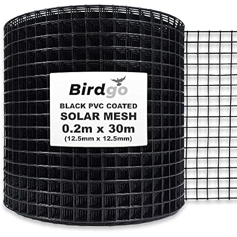 Birdgo feature image