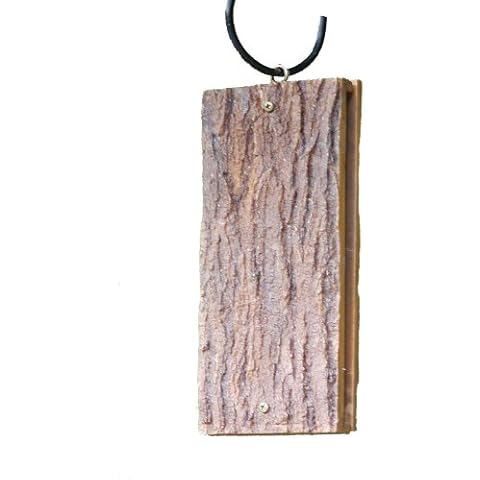 Birds Choice feature image