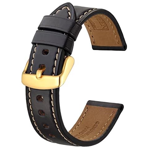 BISONSTRAP thumbnail