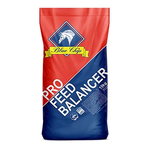 Blue Chip Feed feature image