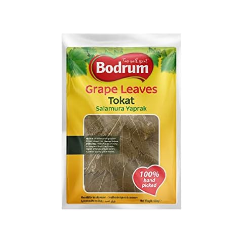 Bodrum feature image