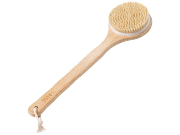 Body Brushes Thumbnail