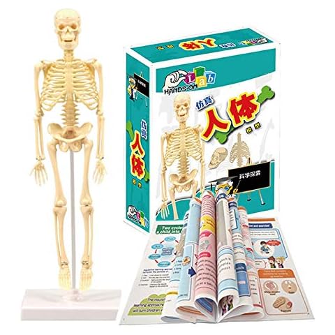 BOLANA feature image