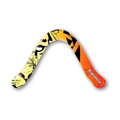 BoomerangFan feature image