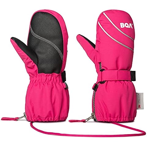 BQA feature image