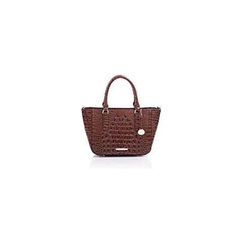 Brahmin feature image
