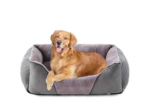 Breathable Dog Beds thumbnail