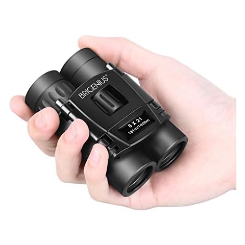 BRIGENIUS feature image