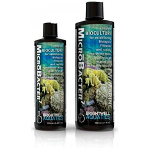 Brightwell Aquatics feature image