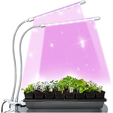 Brite Labs thumbnail