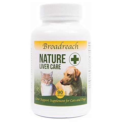 Broadreach Nature feature image