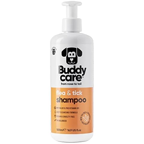 Buddycare feature image