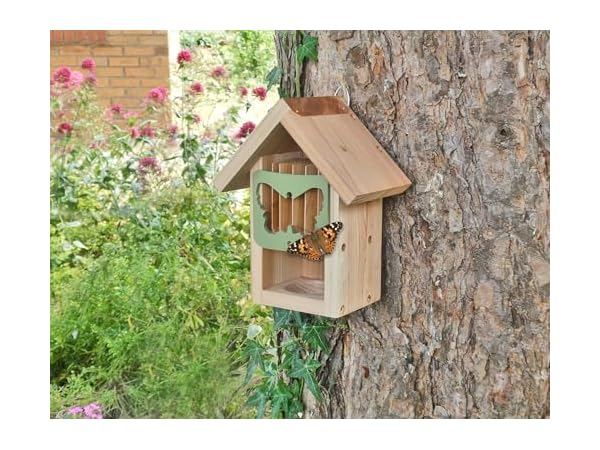 Butterfly Houses Thumbnail