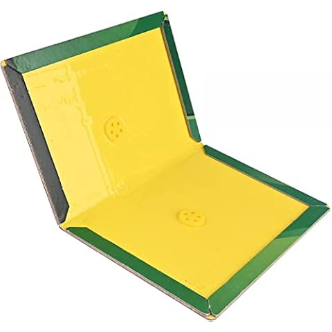 Buy-Simplicity thumbnail