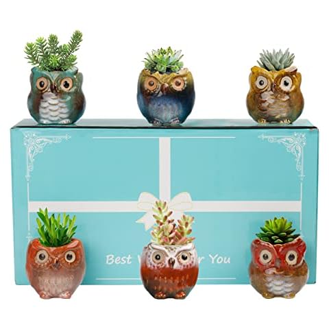 Buymax feature image