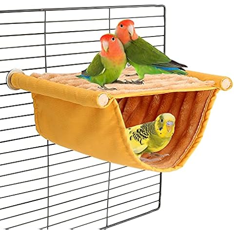 BWOGUE feature image