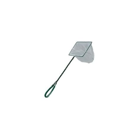 BZB feature image