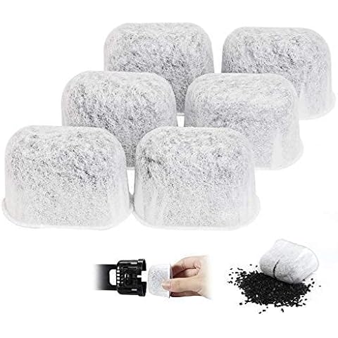 BZDLOLI feature image