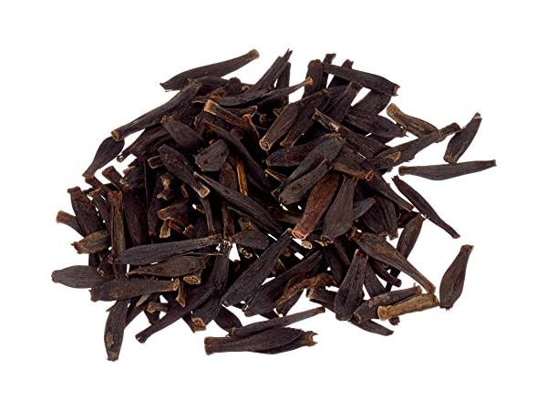 Cacti & Succulent Seeds Thumbnail