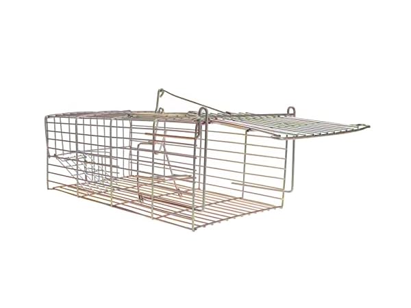 Cage Traps Thumbnail