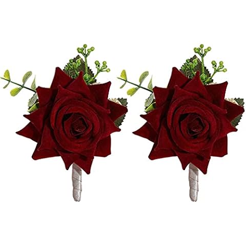 Campsis feature image