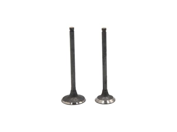 Car Engine Valves Thumbnail