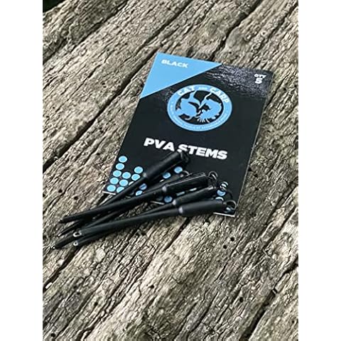 Cat And Carp feature image