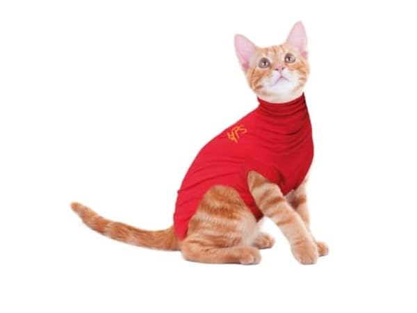 Cat Clothing Thumbnail