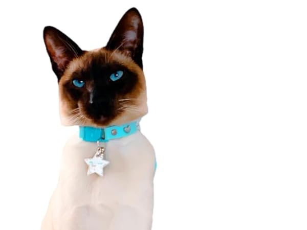 Cat Collar Charms Thumbnail