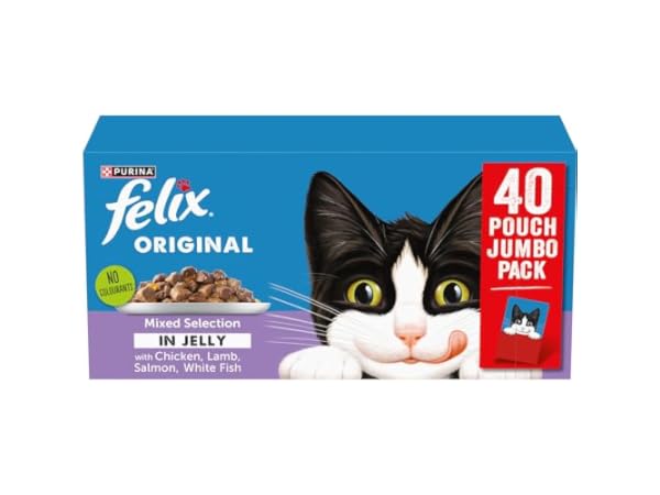 Cat Food Thumbnail