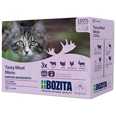 Cat Food feature image