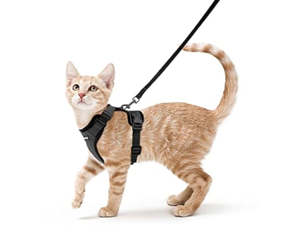 Cat Harnesses Thumbnail