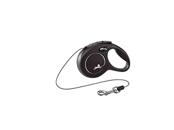 Cat Leads Thumbnail