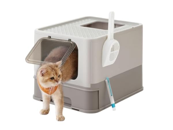 Cat Litter Boxes Thumbnail