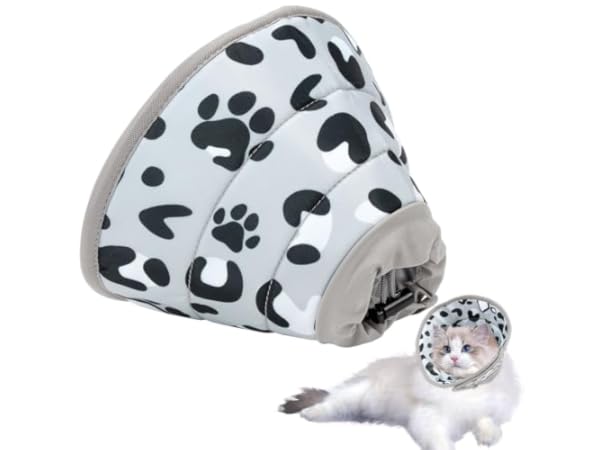 Cat Recovery Collars & Cones Thumbnail