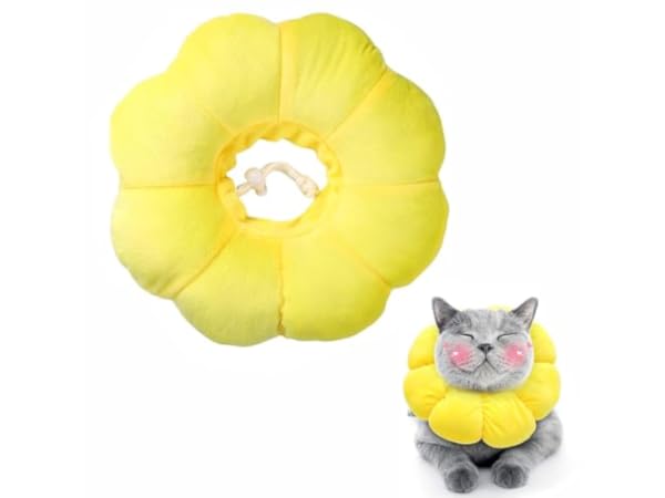 Cat Recovery Collars & Cones Thumbnail