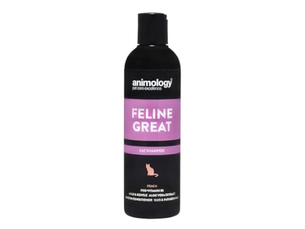 Cat Shampoos Thumbnail
