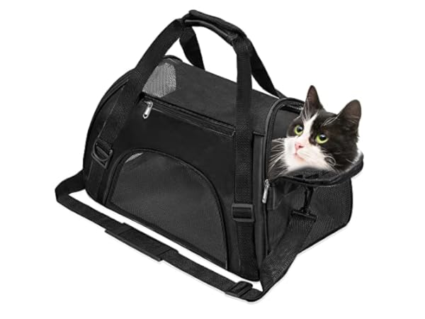 Cat Soft-Sided Travel Carriers thumbnail