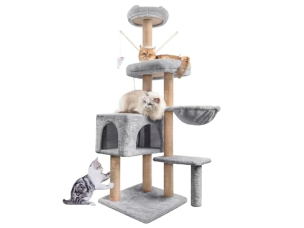 Cat Trees Thumbnail