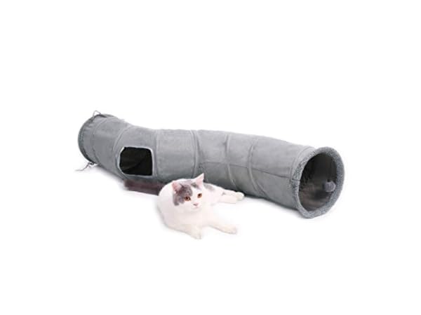 Cat Tunnels Thumbnail