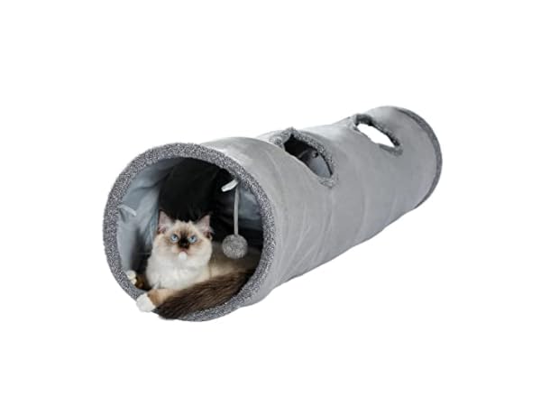 Cat Tunnels Thumbnail