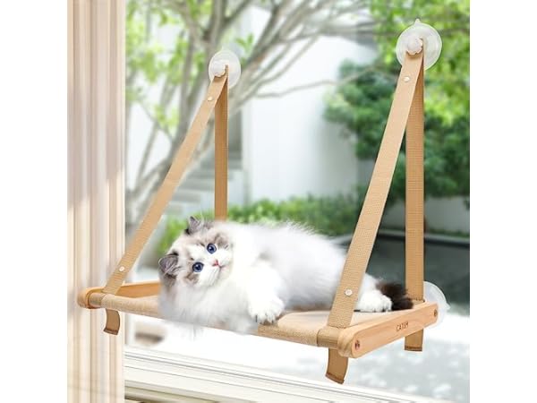 Cat Window Perches Thumbnail