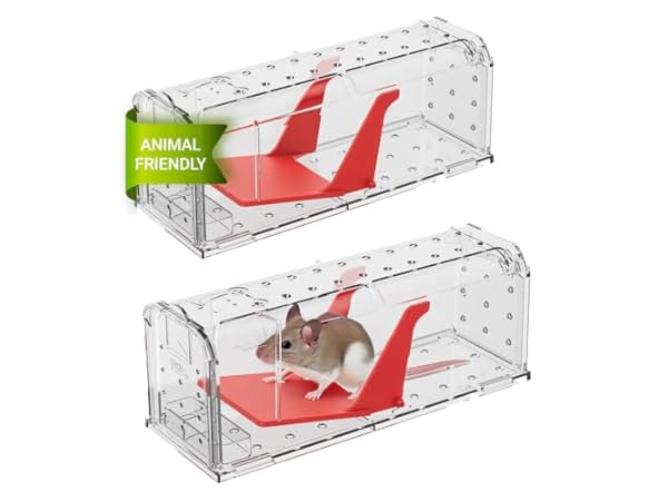 Catch Rodent Traps thumbnail