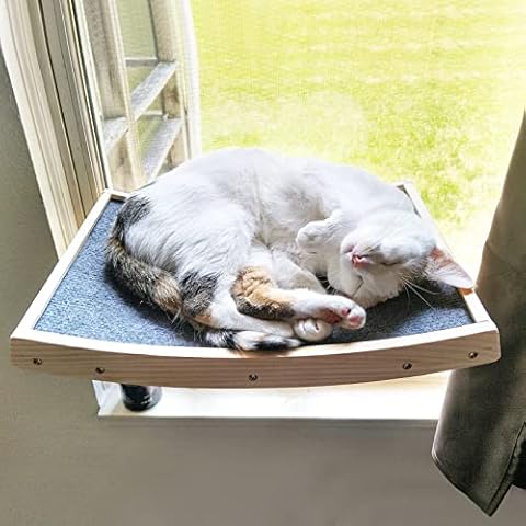 CATROMANCE feature image