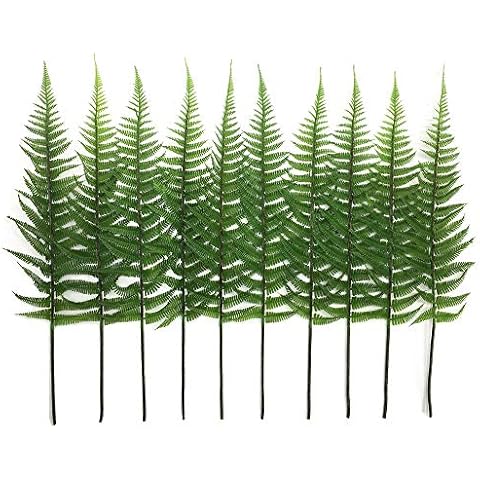 CATTREE feature image