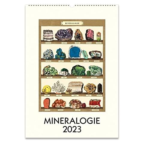 Cavallini Papers & Co feature image