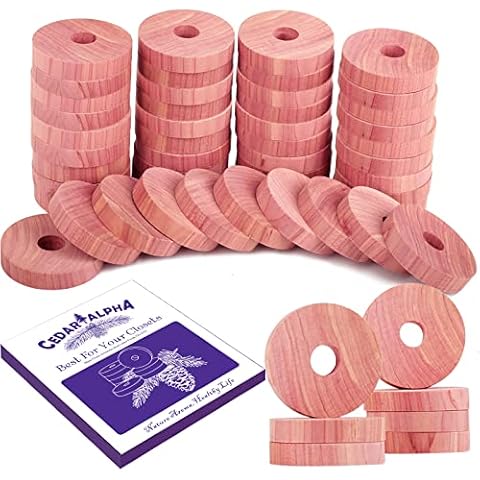 CEDAR ALPHA feature image